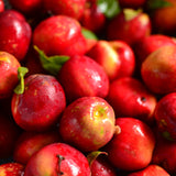 HAZY DAZE Nectarine