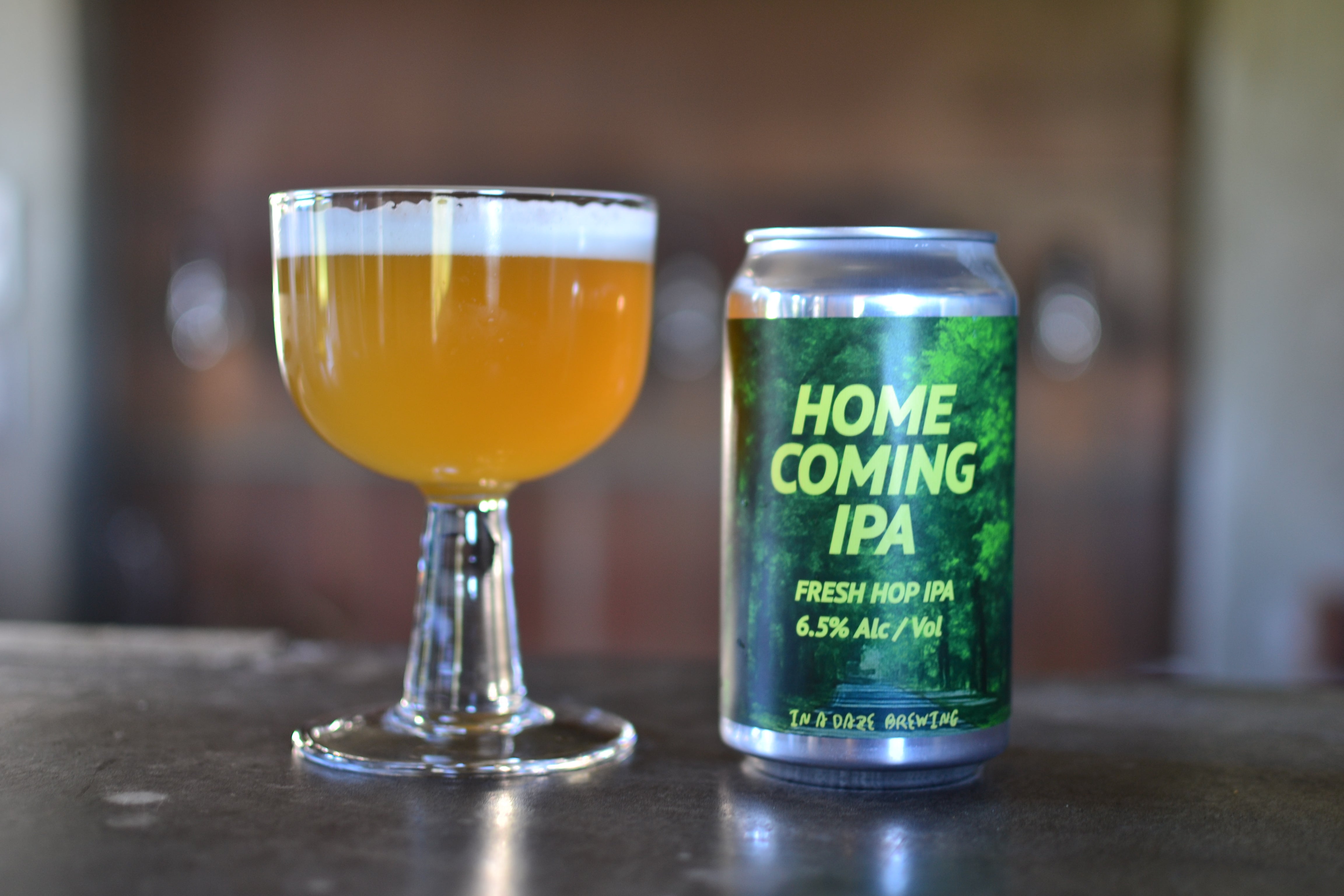 HOMECOMING IPA
